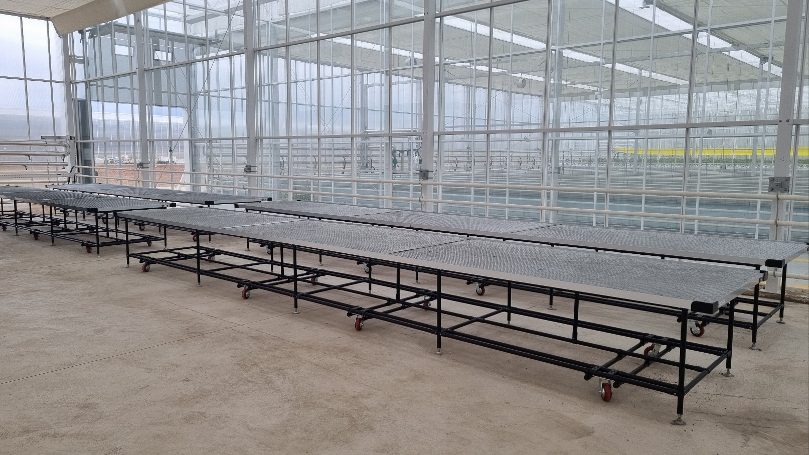 육묘 관리 베드