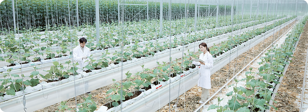 실증단지의 내부 모습을 보여주는 예시 이미지. 온실에서 작물을 살펴보고 있는 모습.