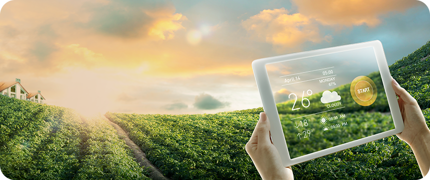 노을이 지는 시골 풍경의 농작물 밭 앞에서 한 사람이 손으로 들고 있는 태블릿을 통해 날씨 정보를 확인하는 모습. 태블릿 화면에는 온도, 구름 상태 및 시간 정보가 표시되어 있고, 시작 버튼이 보임